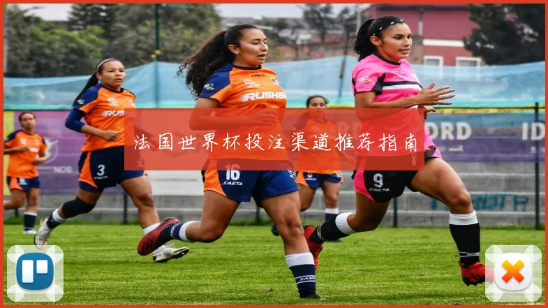 法国世界杯投注渠道推荐指南