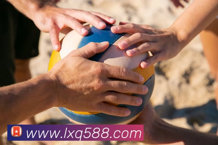 fb体育平台生态图